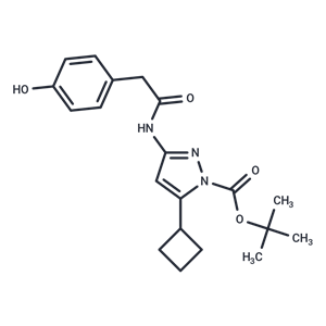 化合物 CDK9-IN-11|T10743|TargetMol