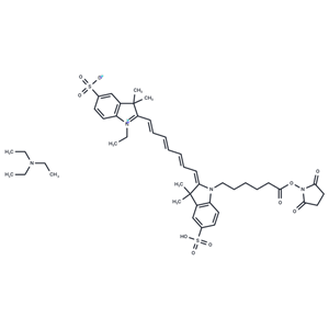 化合物CY7-SE Triethylamine|T18954L|TargetMol