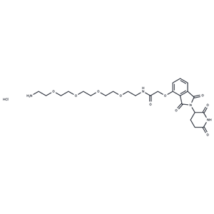 化合物Thalidomide-O-amido-PEG4-C2-NH2 hydrochloride|T18822|TargetMol