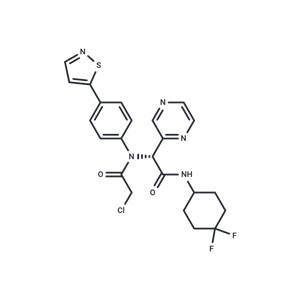 化合物 INSCoV-601I(1)|T63462|TargetMol