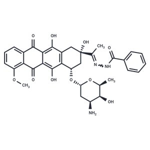 化合物 Zorubicin|T69130|TargetMol