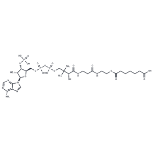 化合物 Pimeloyl-CoA|T74197|TargetMol