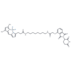 化合物 BODIPY FL thalidomide|T77970|TargetMol