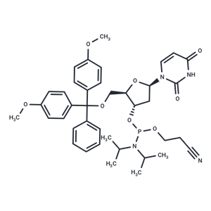 DMT-dU-CE亚磷酰胺单体|T36757|TargetMol