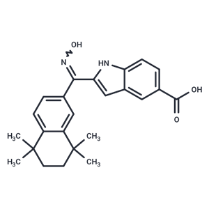 化合物 AGN 205327|T10262|TargetMol