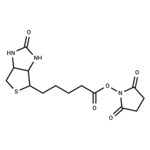 (+)生物素-N-琥珀酰亚胺基酯|T14579|TargetMol