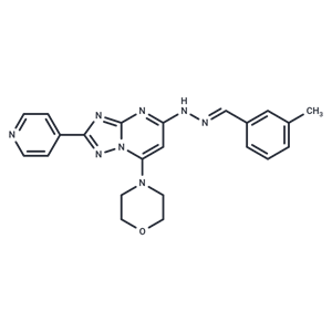 化合物 PIKfyve-IN-2|T79210|TargetMol