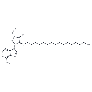 化合物 2’-O-Hexadecanyl adenosine|TNU1649|TargetMol