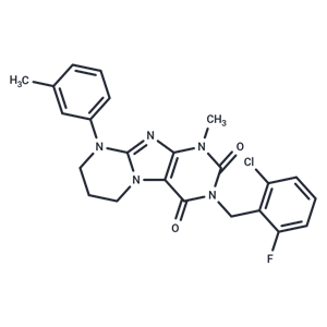 化合物 KRAS G12C inhibitor 29|T62785|TargetMol