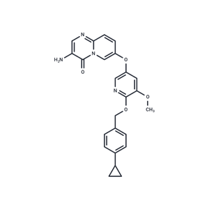 化合物 CSF1R-IN-8|T62390|TargetMol