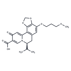 化合物 HBV-IN-13|T62144|TargetMol