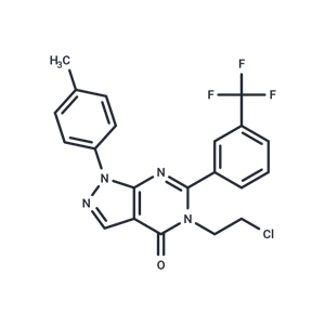 化合物 Antifungal agent 13|T62419|TargetMol