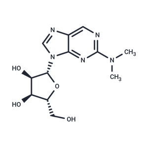 化合物 N2,N2-Dimethylamino-6-deamino adenosine,N2,N2-Dimethylamino-6-deamino adenosine