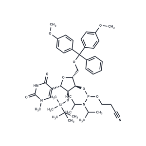 5'-DMT-2'-O-TBDMS-N1-甲基-假尿苷-CE-亚磷酰胺|TNU0961|TargetMol