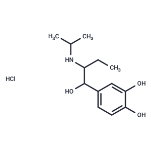 化合物 Isoetharine hydrochloride|T60502|TargetMol