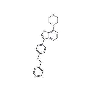 化合物 h-NTPDase-IN-5|T79623|TargetMol