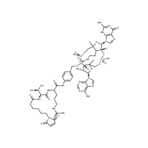 化合物 Mal-VC-PAB-PNP-CDN-A|T81870|TargetMol