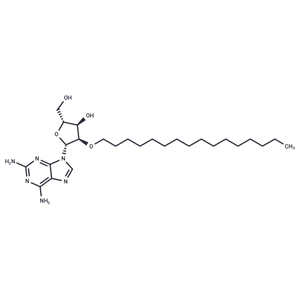 化合物 2’-O-Hexadecanyl-2-aminoadenosine|TNU1653|TargetMol