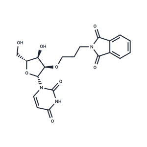 化合物 2’-O-Phthalimidopropyl uridine|TNU1664|TargetMol