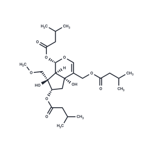 化合物 Heterophdoid A|T63570|TargetMol