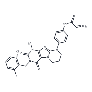 化合物 KRAS G12C inhibitor 31|T63502|TargetMol