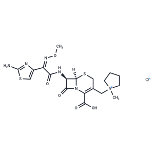 化合物 Cefepime chloride|T72642|TargetMol