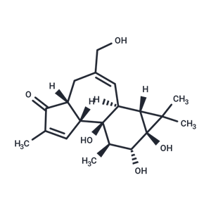 化合物 4-Deoxy-4α-phorbol|T72533|TargetMol