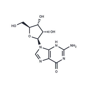 化合物 L-Guanosine|T60545|TargetMol