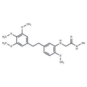 化合物 HDAC-IN-60|T78767|TargetMol