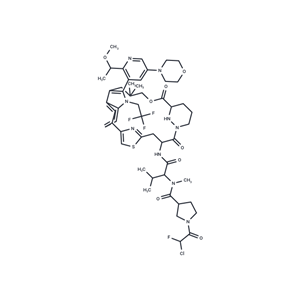 化合物 KRAS G12C inhibitor 58|T79057|TargetMol