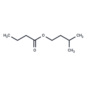 化合物 Isoamyl butyrate|TN6702|TargetMol