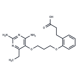 化合物 DHFR-IN-5,DHFR-IN-5