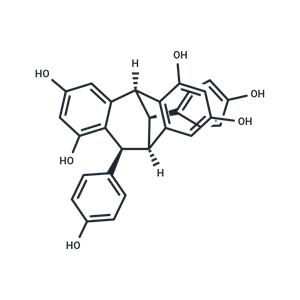 化合物 (+)-Isoampelopsin F|TN6249|TargetMol