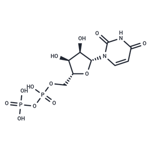 化合物 Uridine 5'-diphosphate|T78583|TargetMol