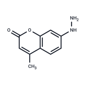 化合物 Coumarin hydrazine|T82679|TargetMol