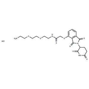 化合物Thalidomide-O-amido-PEG2-C2-NH2 hydrochloride|T18819|TargetMol