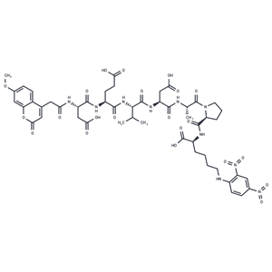 Mca-DEVDAPK(Dnp)-OH|T37024|TargetMol