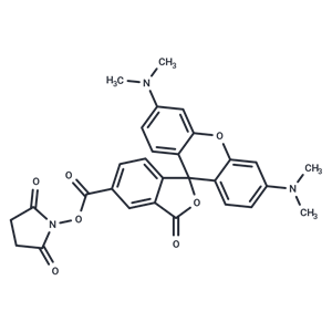 NHS-5(6)Carboxyrhodamine|T38994|TargetMol