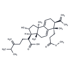 茯苓酸AM,Poricoic acid AM