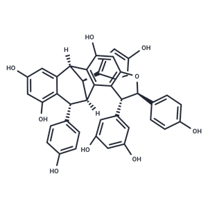 化合物 Ampelopsin G|TN6475|TargetMol