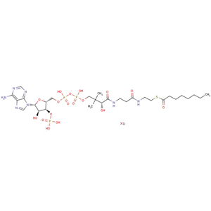 化合物 Octanoyl coenzyme A lithium|T64276|TargetMol