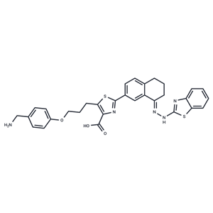 化合物 WEHI-539|T13337L|TargetMol