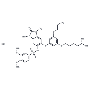 化合物 IACS-9571 hydrochloride|T72274|TargetMol