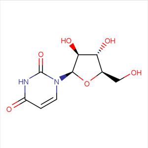 阿糖尿苷