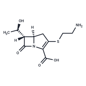 化合物 (+)-Thienamycin|T83594|TargetMol