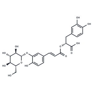 异迷迭香酸苷|TN1127|TargetMol
