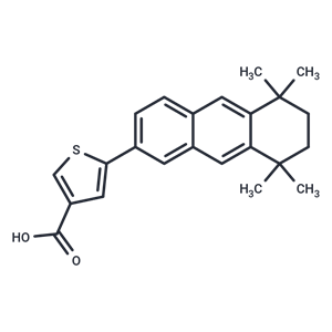 化合物 CD 2314|T22196|TargetMol