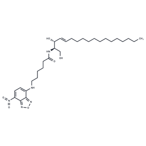 化合物 C-6 NBD-dihydro-Ceramide|T82796|TargetMol