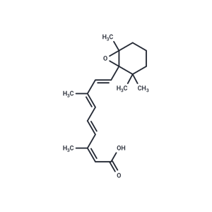 5,6-epoxy-13-cis Retinoic Acid,5,6-epoxy-13-cis Retinoic Acid