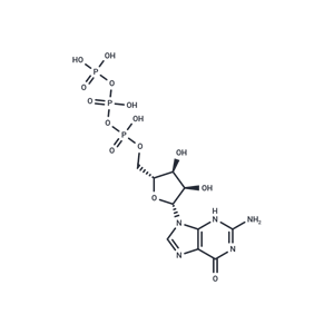 化合物 Guanosine triphosphate|T73596|TargetMol